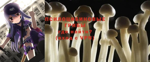 Альфа ПВП Абдулино
