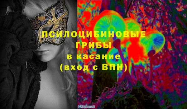 ешки Абинск