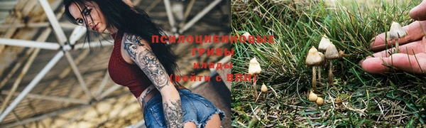 гашиш Алексин