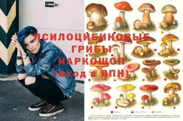 марихуана Лабытнанги