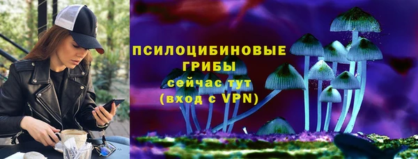 не бодяженный Алзамай